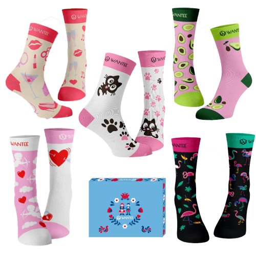 Ladies Club Socks Wantee 5-pack Gift Box