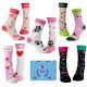 Ladies Club Socks Wantee 5-pack Gift Box