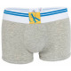Calvin Klein Men's Boxers CK ONE Yellow Logo Gray