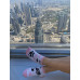 Cute Cat Ankle Socks Wantee