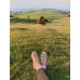 Avocado Socks Wantee