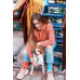 Playful Dogs Socks Wantee