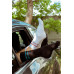 Basic Black and Blue Socks Wantee 10-pack