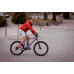 Cyclist Socks Wantee