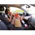 Hamburger and Fries Socks Wantee